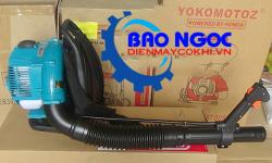 Máy thổi lá EB-300